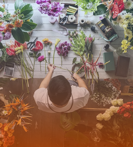Plant Lovers Image